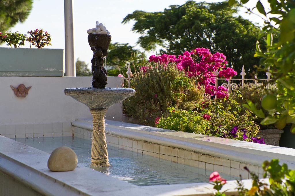 Gilmour Hill Bed & Breakfast Cape Town Dış mekan fotoğraf